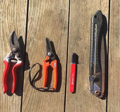 pruning tools