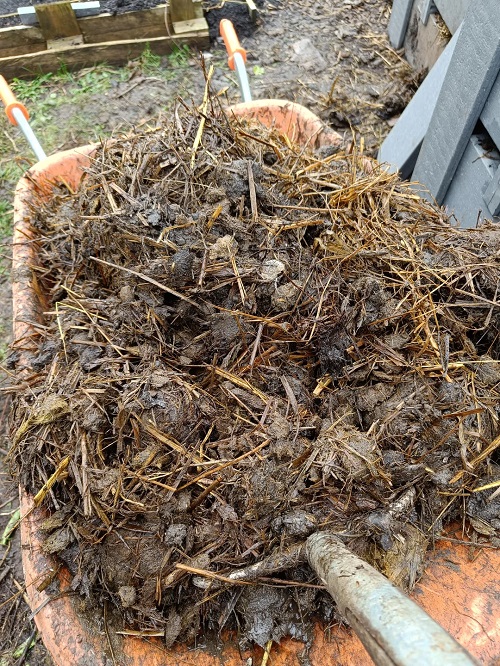 Aged Manure for a Nutrient Boost