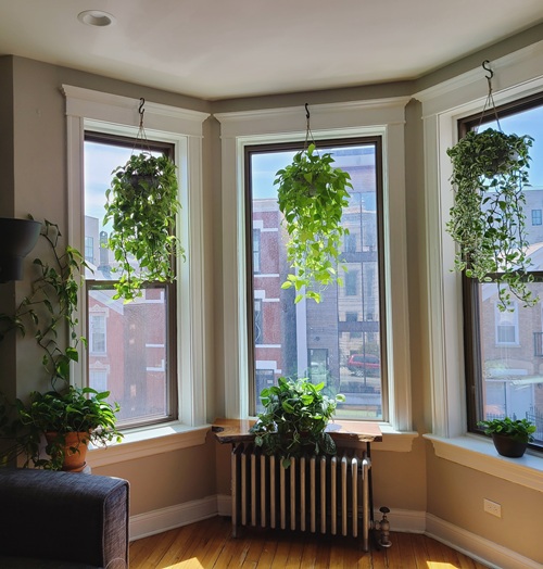 Pick Your Planters
