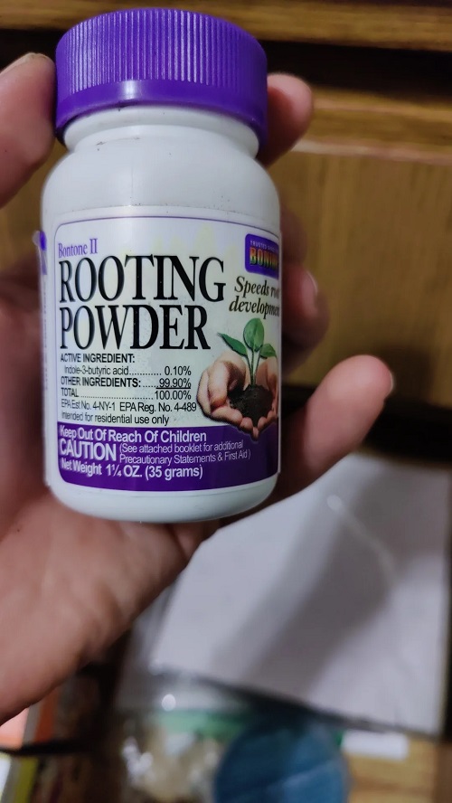 Rooting Hormone