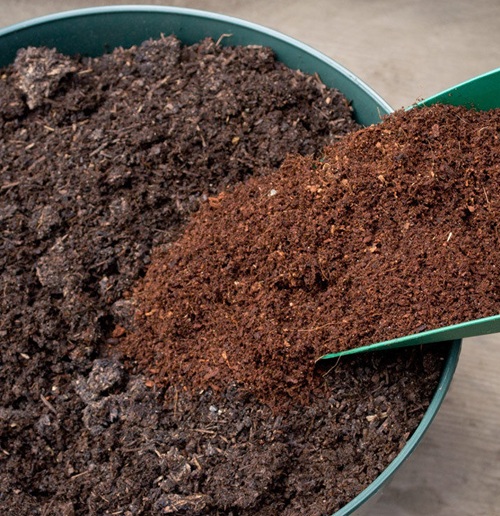 Coconut Coir or Peat Moss