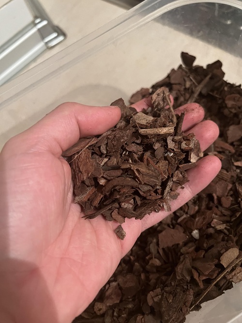 Pine Bark or Orchid Bark