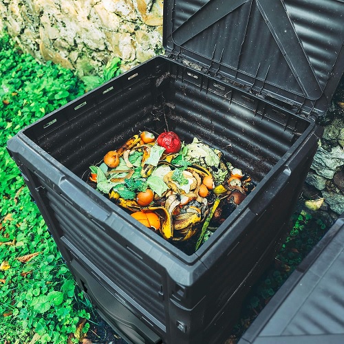 Compost Bin