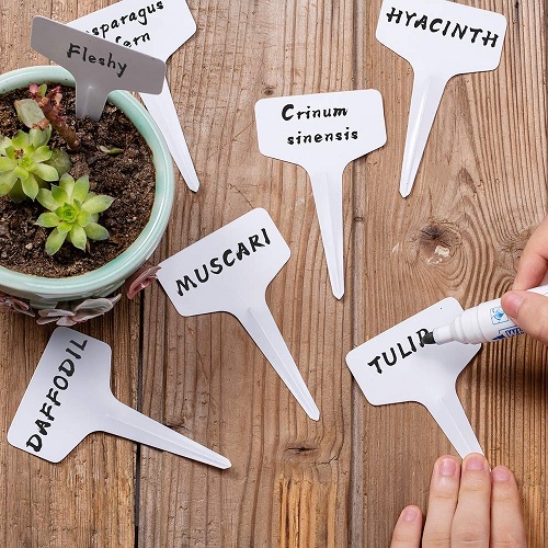 Plant Labels