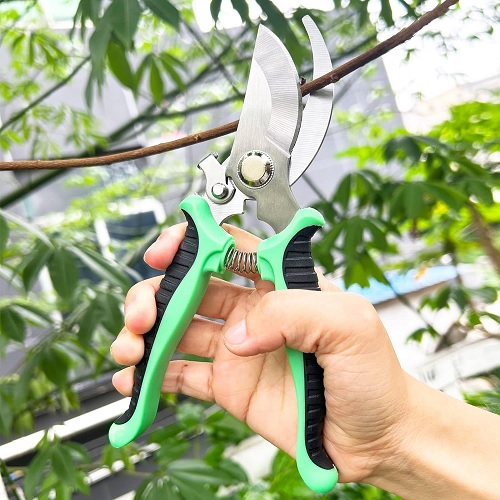 Pruning Shears