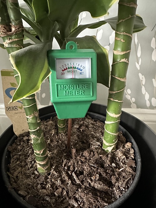 Soil Moisture Meter