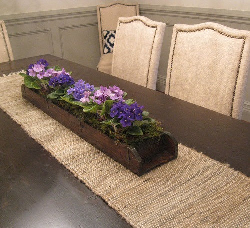 African Violet in bedroom