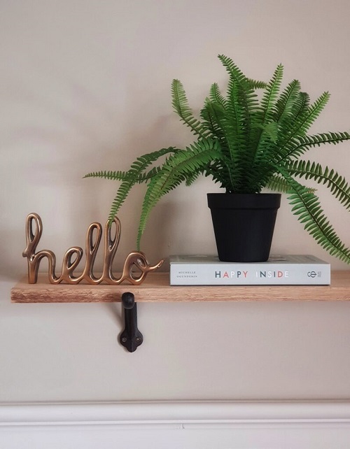 boston fern plant on floating shelves