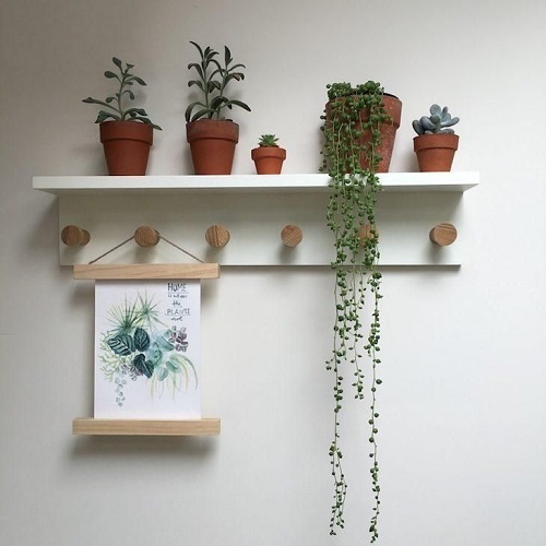 string of pearl plant on floating shelves