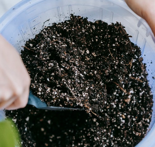 potting soil mix